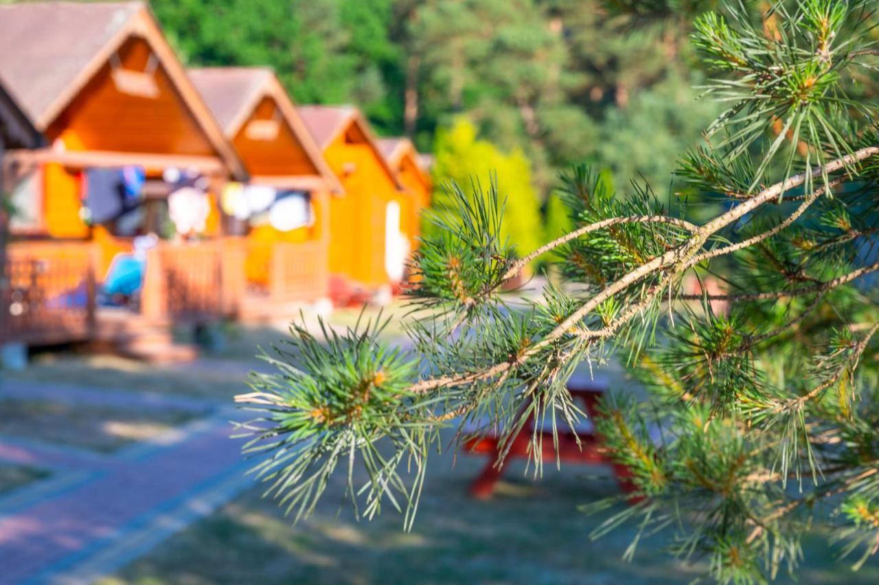 Domki Letniskowe I Pokoje Savana Nad Morzem Jarosławiec Exterior foto